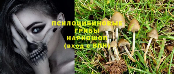 а пвп мука Армянск